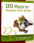 101 Ways to Pamper Your Pooch ebook