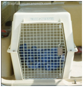 dog cage