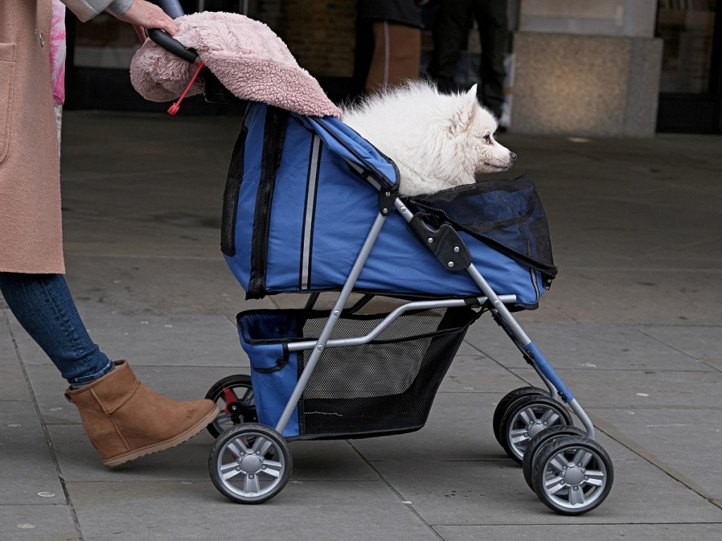 best rated dog stroller