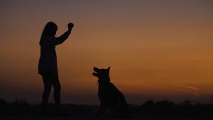 Woman training her dog by the beach during sunset